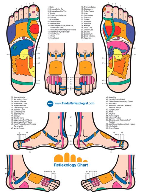 Foot Therapy Reflexology Self Help To Health For Everyone