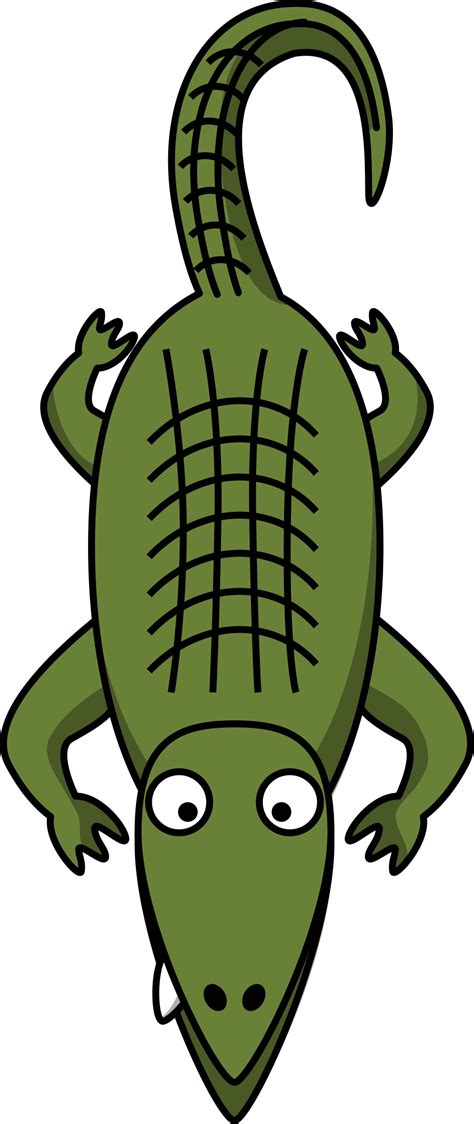 Cartoon alligator by StudioFibonacci | Cartoon turtle, Cartoon elephant, Cartoon