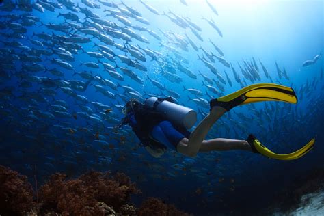 Specialties And Advanced Open Water Diving Certification