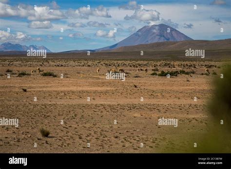 Arid Land Near A Volcano Snowy And Wildlife Clouds And Blue Sky Stock