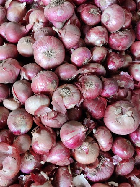 A Grade Maharashtra Onion Plastic Bag Onion Size Available Large Rs