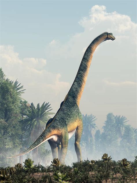Giant Sauropod Walking Away Digital Art By Daniel Eskridge Fine Art