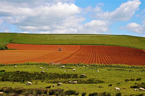 Land containing a natural resource oil fields Fields Free Stock Photo - Public Domain Pictures