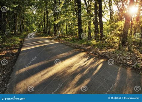 Guiding light stock image. Image of magic, scene, journey - 25407559