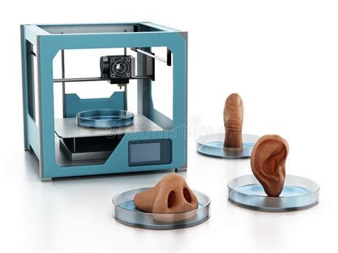 Medical 3d Printer And Printed Human Organs Isolated On White