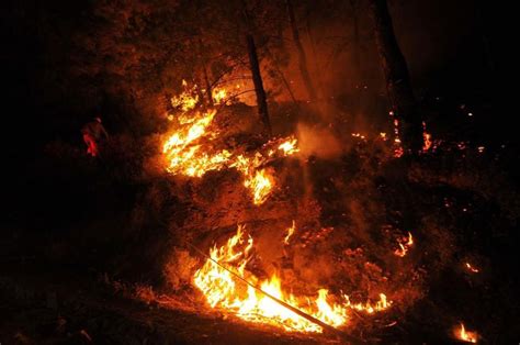 We did not find results for: Milas'taki orman yangını | NTV
