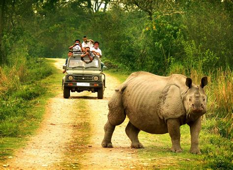 Kaziranga National Park Assam Indian Holiday Uk Blog India Travel Information And Travel Guide