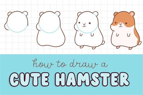 How To Draw A Cute Hamster Easy Step By Step Instructions