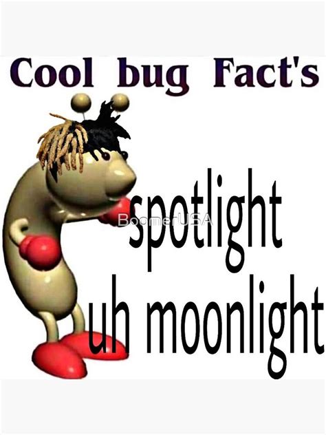 Cool Bug Facts Template
