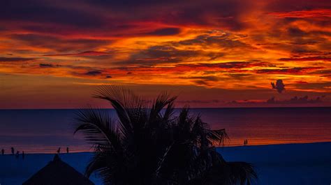 1920x1080 Sunset Palm Trees Ocean Beautiful View 4k Laptop Full Hd