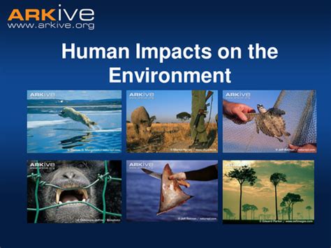 Human Impacts On The Environment Ks3 Teaching Resources