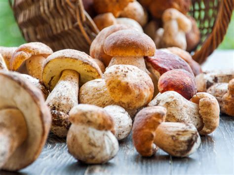 Mushroom Health Benefits: Nutrition Value & Calories in Mushroom | 6 ...