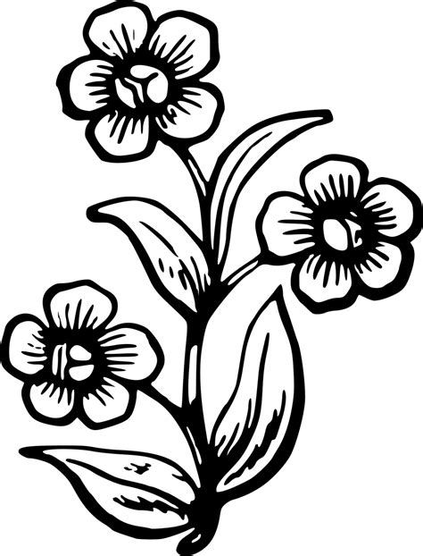 Drawings Of Spring Flowers Free Download On Clipartmag