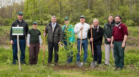 Nys Offering Grants For Tree Planting Projects • The Long Island Times