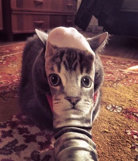 Cute Cat Face Illusion With A Sock