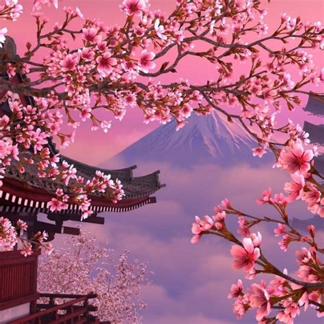 10 New Hd Wallpapers Cherry Blossom Full Hd 1920×1080 For