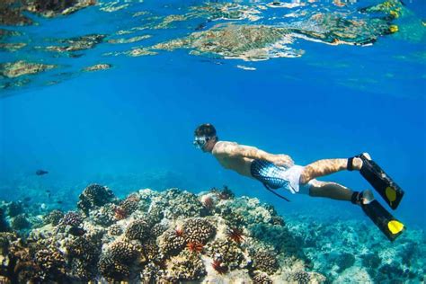 15 Helpful Tips For Best Snorkeling In Hawaii Hawaii Travel With Kids