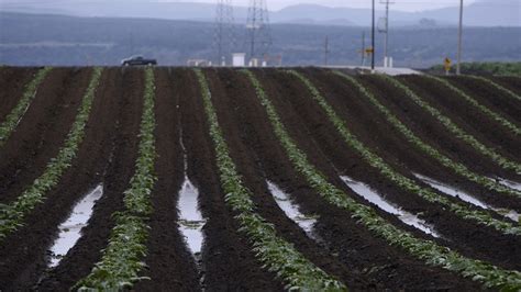 Learn about Salinas Valley agriculture