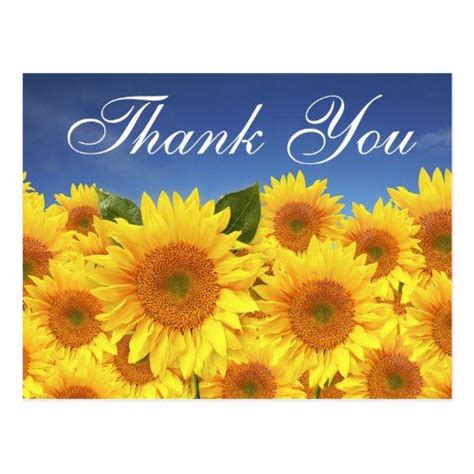 Thank You Card With Sunflowers In The Foreground And Blue Sky In The
