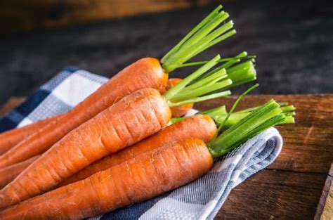 How To Store Fresh Carrots From The Garden