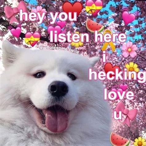 Oh Heck Ily Uwu Follow For More Cute Love Memes