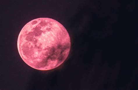 Download Experience The Beauty Of A Real Pink Moon Wallpapers Com
