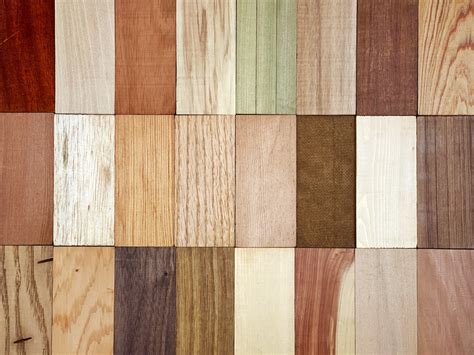 How To Choose The Perfect Wood Species For Your Diy Project The Re Store