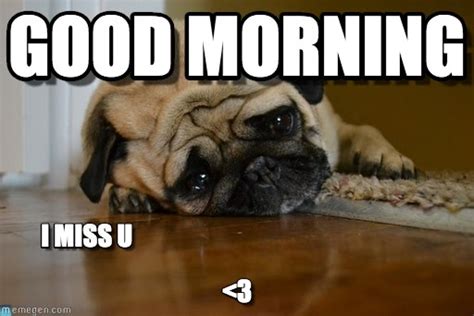 20 Adorable And Cute Good Morning Memes