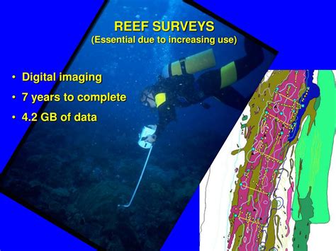 Ppt Significant Results Of Reef Surveys And Long Term Monitoring On