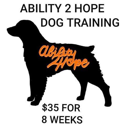 Here at bright hope dog training, we believe that all dogs need to have a chance to stretch all aspects of their body, physically and mentally. Pin by Ability 2 Hope on Dog Training in 2020 | Dog ...