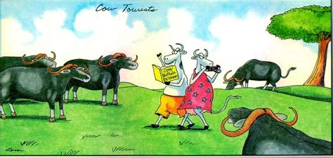 The Far Side By Gary Larson Far Side Cartoons Cartoon Animals