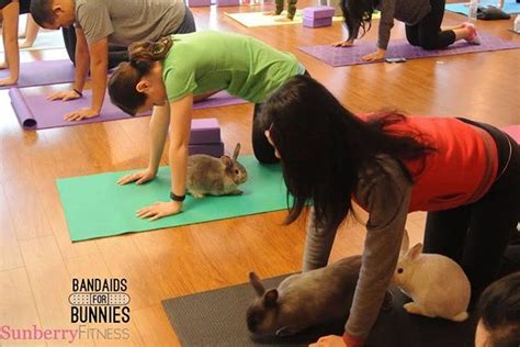 Bunny Yoga Is Real And We Love It Bunny Yoga Bunny Yoga