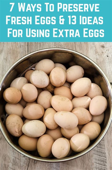 7 Ways To Preserve Fresh Eggs 13 Ideas For Using Extra Eggs Artofit