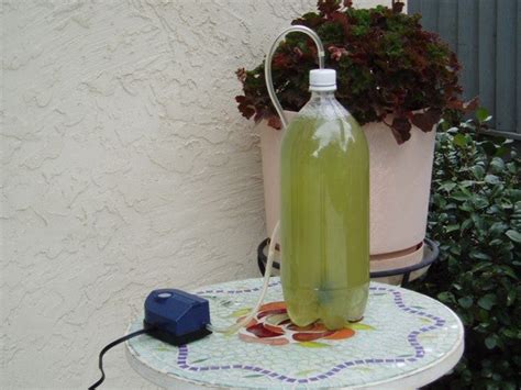 Видео diy algae scrubber канала tyler johnson. Simple Algae Home CO2 Scrubber - Part 1 : 6 Steps (with ...
