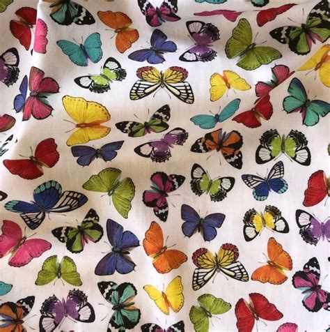 Butterfly Fabric Colourful Butterflies 60 Wide Backing Fabric