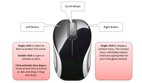 Mouse Button Rundown What Does Each Button On A Mouse Do