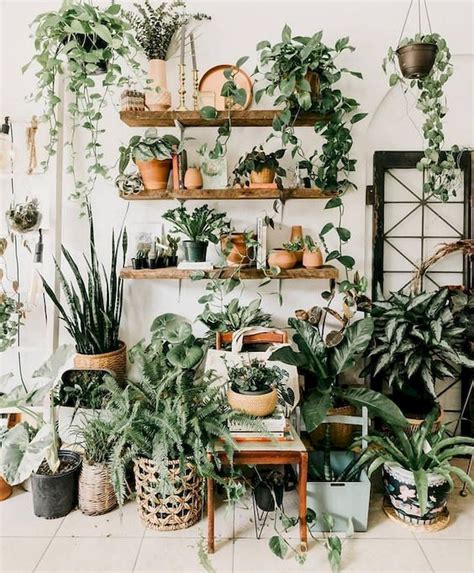 Best Indoor Garden Ideas Pinterest Quotes