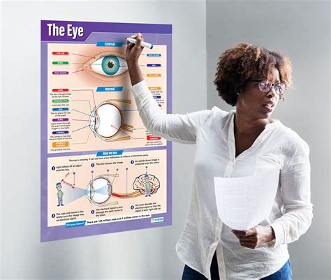 The Eye Science Posters Laminated Gloss Paper Measuring 850mm X