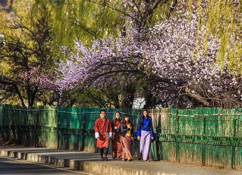 Bhutan vào mùa xuân đẹp đến nao lòng Văn Hóa Giải Trí