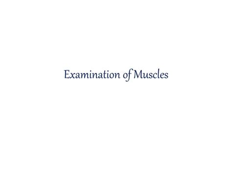 Examination Of Muscles Guide To Assessing Muscle Strength Ppt