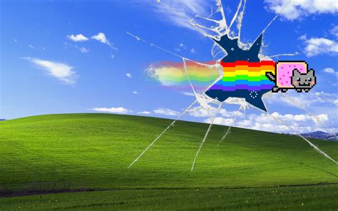 Nyan Cat Wallpapers 74 Images