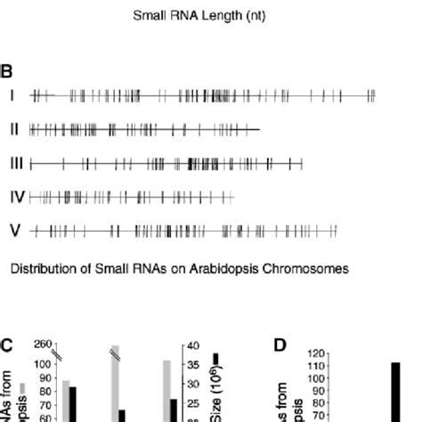Predicted Secondary Structures Of Rna From Loci Containing Clusters Of
