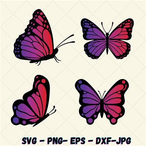 Four Butterflies With Different Colors And Shapes