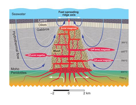 A Schematic Illustration Of Crustal Formation Beneath Fast Spreading