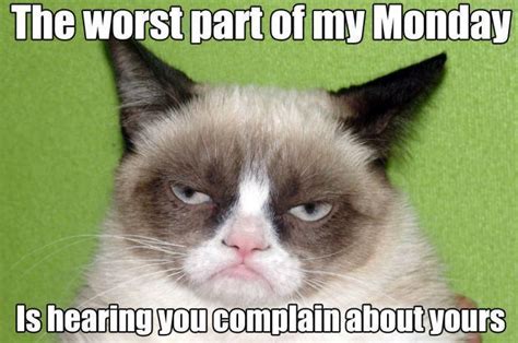 L got called pretty today well actually the full statement was you're pretty annoying but l only tocus on positive things. Top 25 Grumpy Cat Memes - CatTime