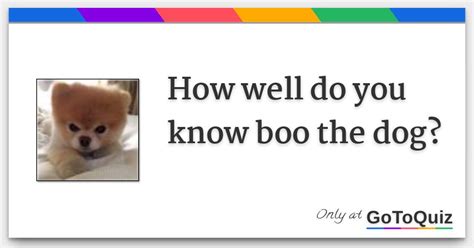 How Well Do You Know Boo The Dog