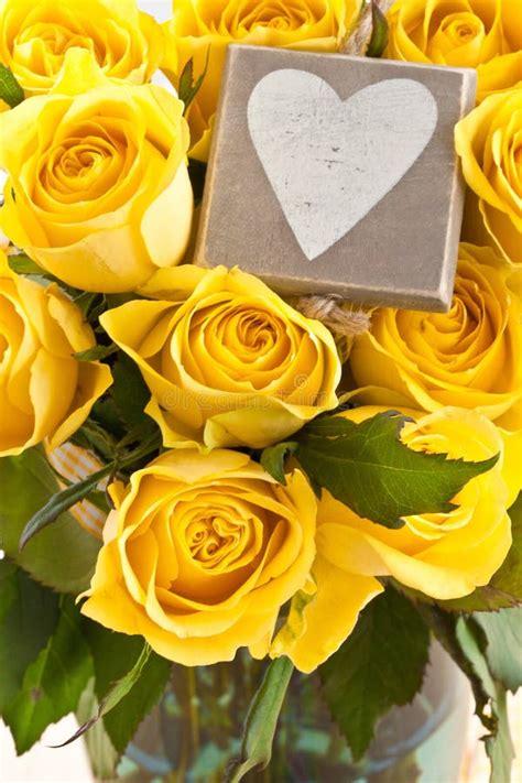 Yellow Roses Stock Photo Image Of Colorful T Space 48068600