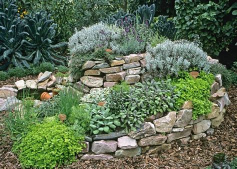 Eine kräuterschnecke kann ein richtiger blickfang in deinem garten werden. Kräuterschnecke bauen - Ideen und praktische Tipps ...