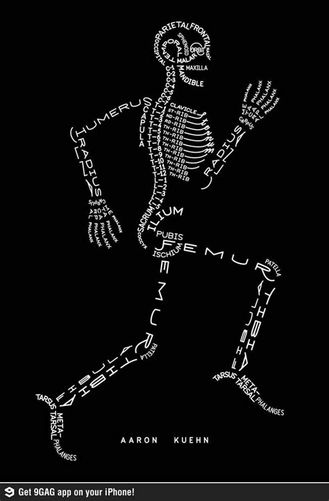 A Good Way To Remember The Names Of The Bones Nice Visual For The