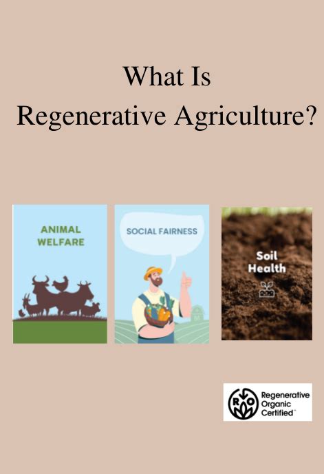 What Is Regenerative Agriculture Regenerative Agriculture 101